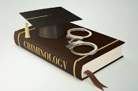 Criminology Coursework Writing Services