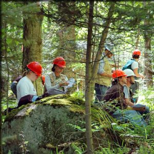 Forestry and Environment Management Writing Service